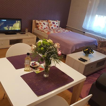 Sara - Modern Apartment In The City Center Novi Sad Eksteriør bilde
