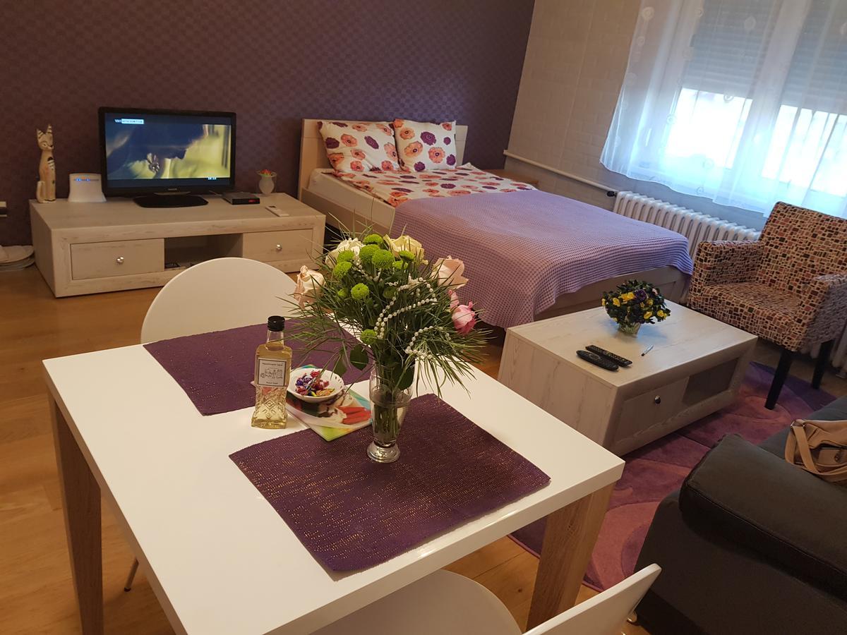 Sara - Modern Apartment In The City Center Novi Sad Eksteriør bilde
